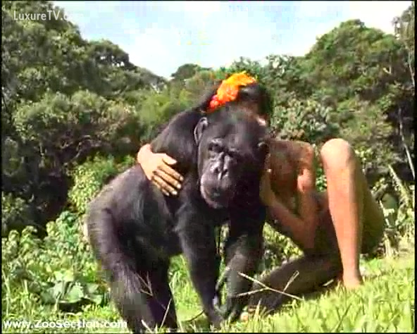 Macaco Cruzando Com Mulher Videos