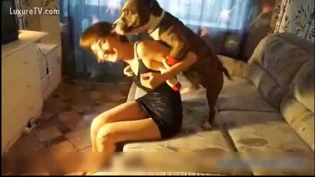 Mulher transa com cachorro na frente do marido manso