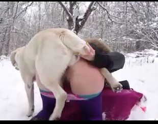 Mulher e cachorro transam na neve