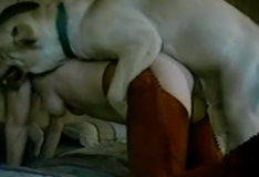 Branquinha faz sexo com cachorro grande