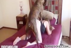 Video zoofilia mulheres fazendo sexo com animais