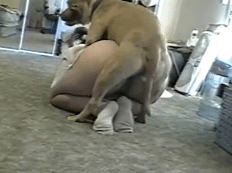 Vídeo de mulher gorda transando com cachorro