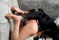 Homem dando o cu pra cachorro em casa
