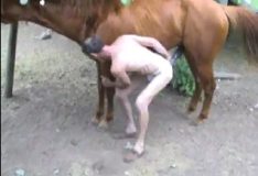Zoofilia gay transando com cavalo na roça